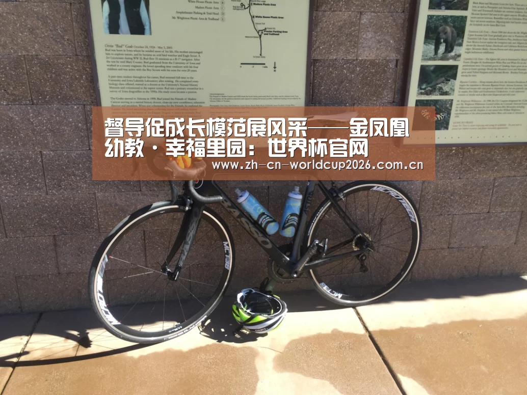 督导促成长模范展风采——金凤凰幼教·幸福里园:世界杯官网(图1) 世界杯官网