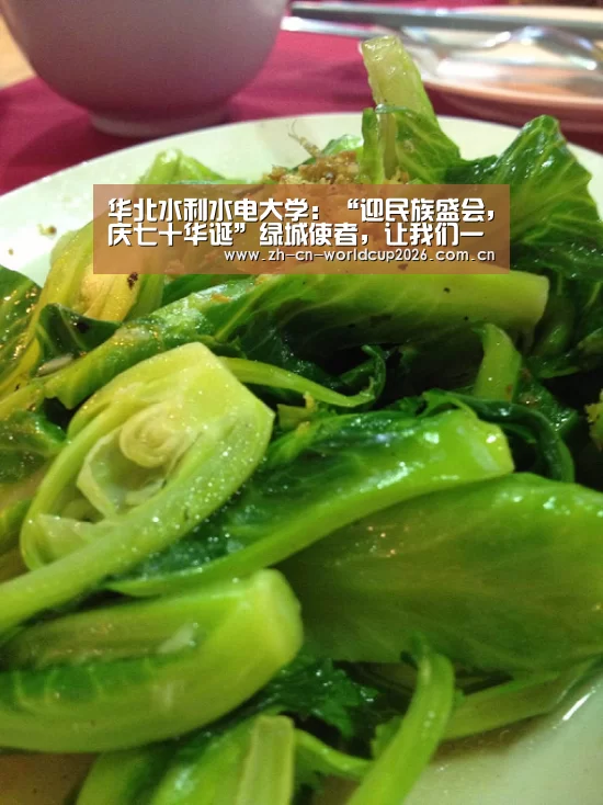 华北水利水电大学:“迎民族盛会,庆七十华诞”绿城使者,让我们一起行动!“2026世界杯”(图1) 世界杯