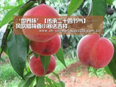 ‘世界杯’【传承二十四节气】——风吹腊梅香小寒送吉祥(图1) 世界杯官网