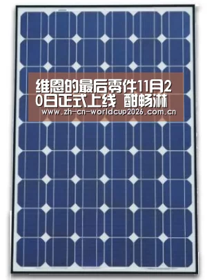 维恩的最后零件11月20日正式上线 酣畅淋漓的动作冒险解谜之旅【FIFA世界杯】(图3) FIFA世界杯