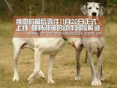 维恩的最后零件11月20日正式上线 酣畅淋漓的动作冒险解谜之旅【FIFA世界杯】(图4) 世界杯