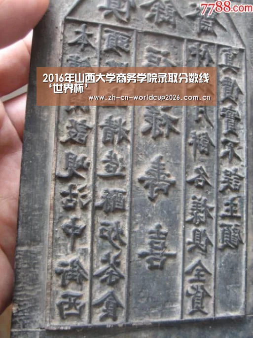 2016年山西大学商务学院录取分数线‘世界杯’(图1) 世界杯官网