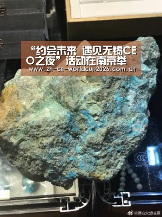 “约会未来 遇见无锡CEO之夜”活动在南京举行:世界杯官网(图3) 世界杯官网